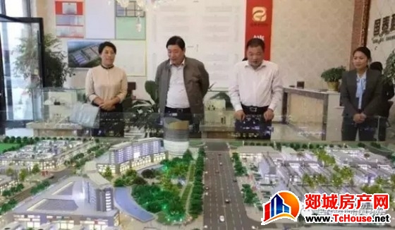 县委书记刘连栋视察国泰商贸城等重点项目建设情况