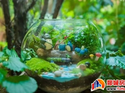 中筑·博雅郡 | 微景观DIY*玻璃瓶里面的伊甸园 创造属于自己的童话世界