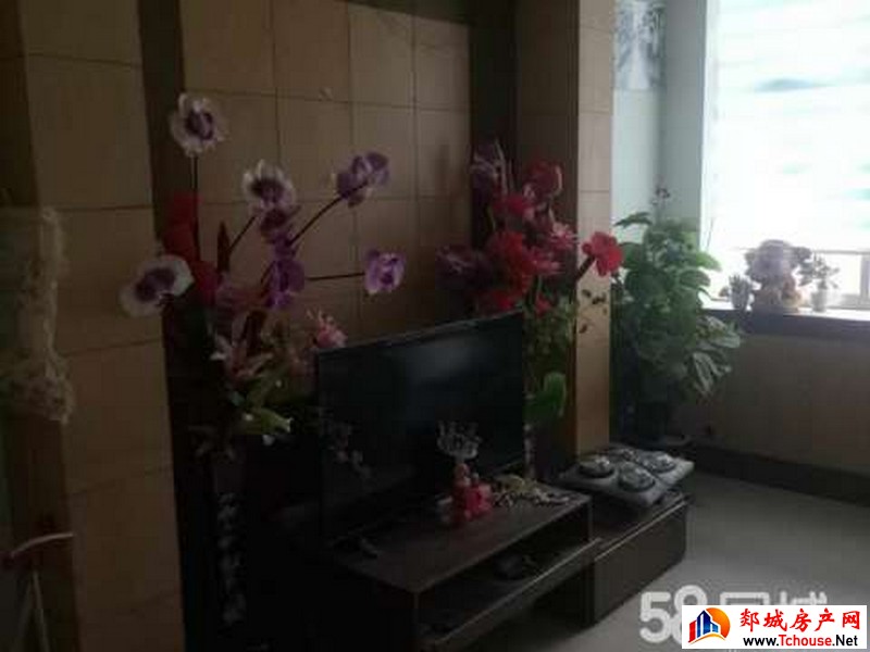 龙泉新村花园小区 3室2厅 120平米 简单装修 12000元/年